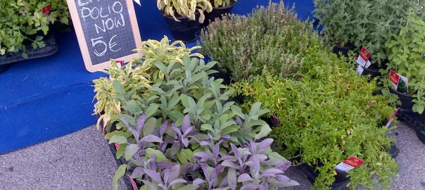 Miniatura per l'articolo intitolato:Sostegno al progetto Rotary Foundation END POLIO NOW